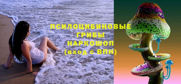 винт Аркадак